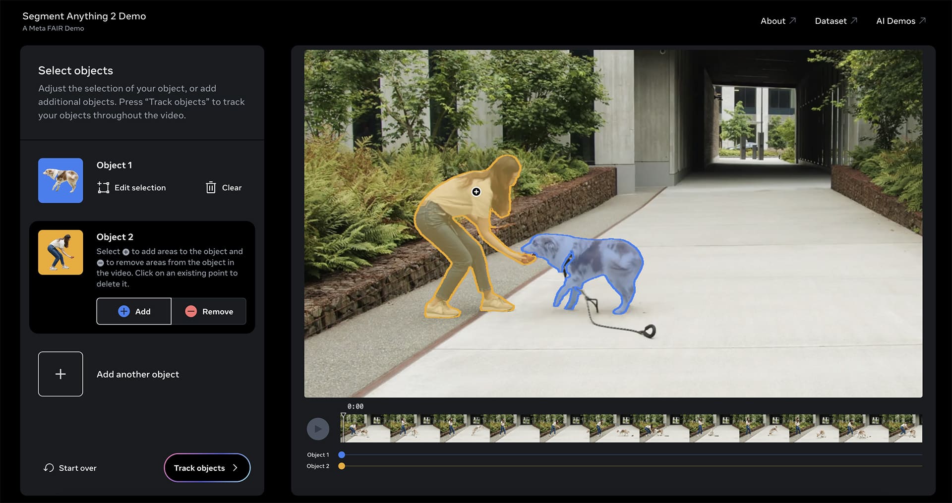 Implications for the Future